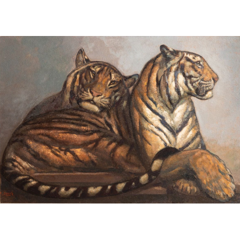 Deux tigres couchés. C 1960.